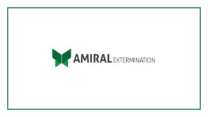 2. Amiral Extermination Montreal