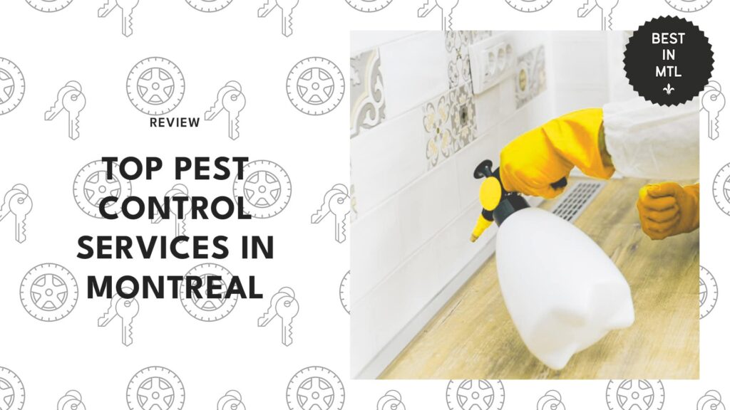 Top 11 pest control services in Montreal for safe pest solutions