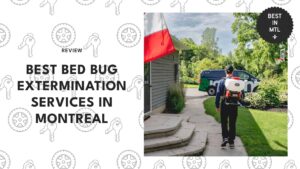 bed-bug-extermination