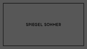 spiegel-sohmer-inc-logo