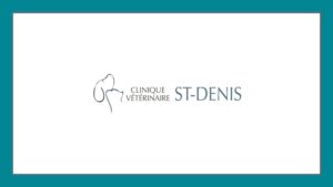 clinique-veterinaire-st-denis