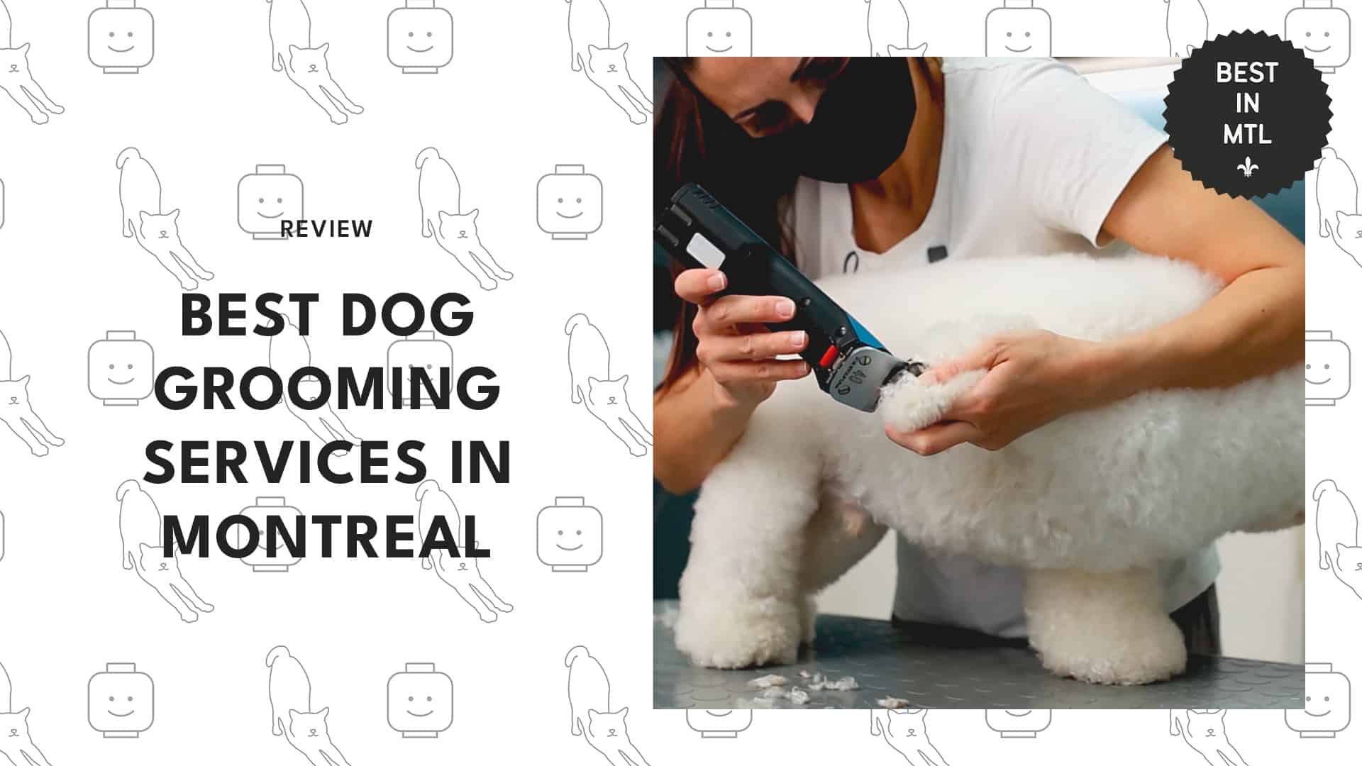 dog-grooming-salons