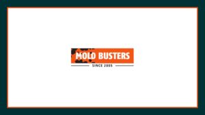 mold-busters-montreal