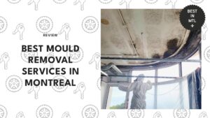 mould-removal-services