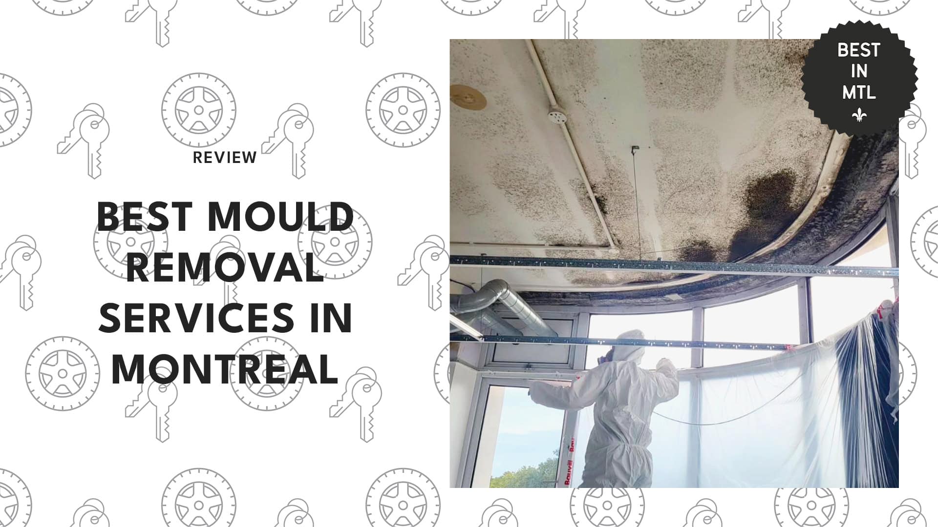 mould-removal-services