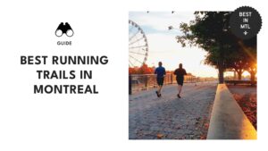 running-trails-montreal