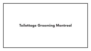 toilettage-grooming-montreal