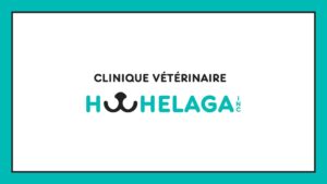 veterinary-clinic-hochelaga-inc