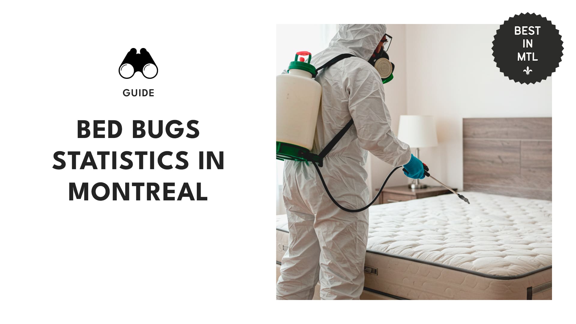 bed-bugs-statistic-montreal