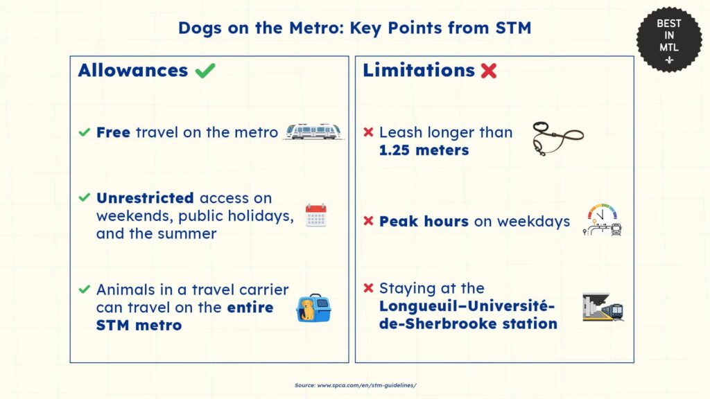 dog-friendly-infrastructure-montreal
