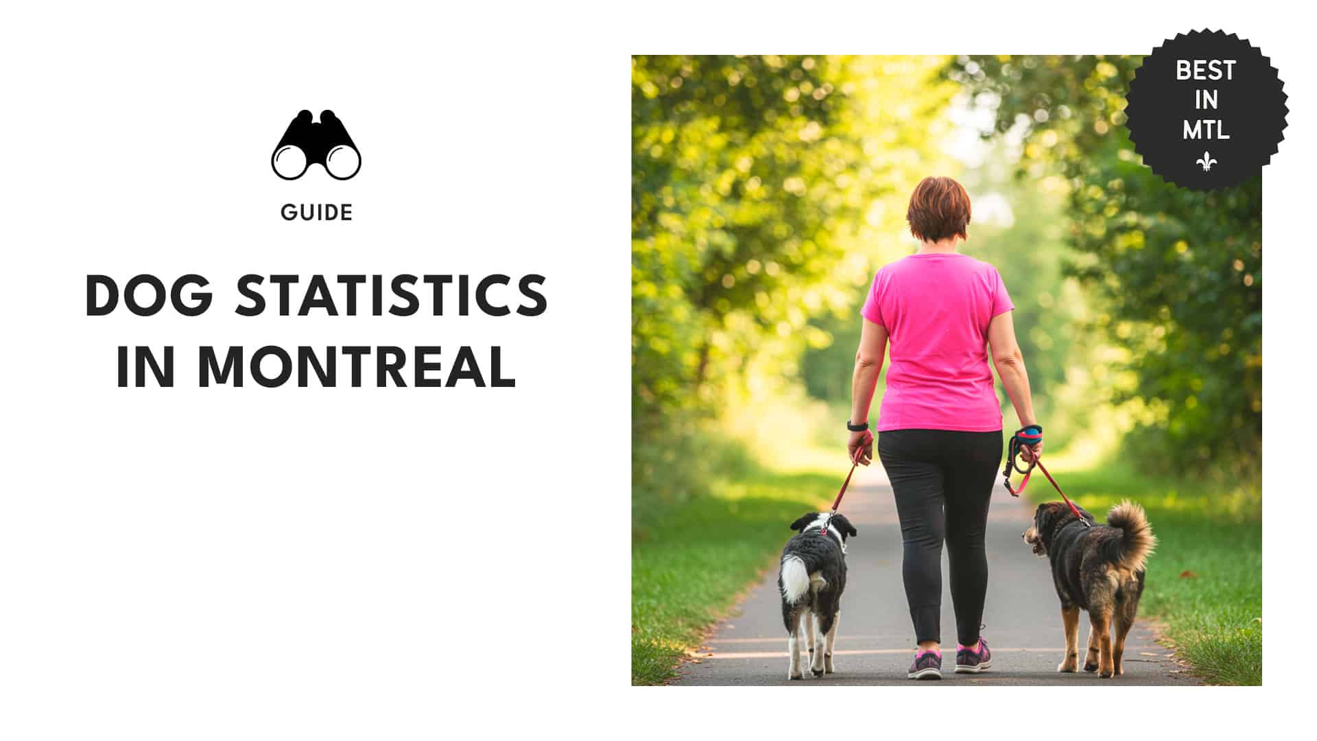 dogs-montreal-statistics