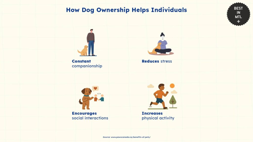 health-benefits-of-dog-ownership-montreal