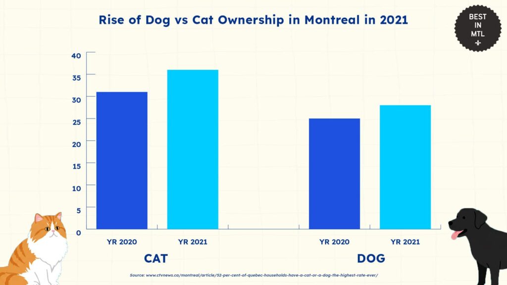 rise-of-dog-vs-cat-ownership-montreal