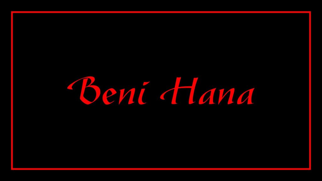 beni-hana-cuisine-japonaise