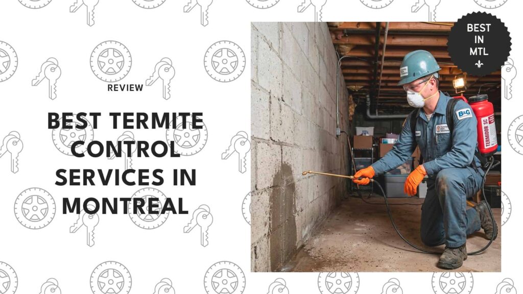The 5 termite control services in Montreal that won’t let pests win
