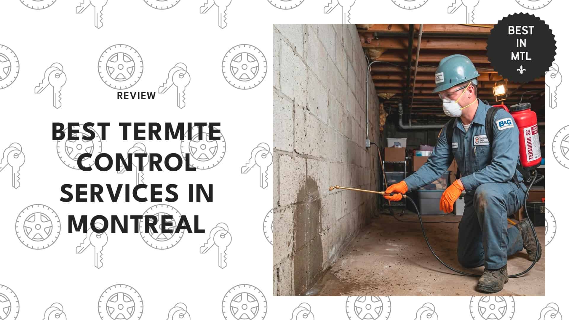 best-termite-control-montreal