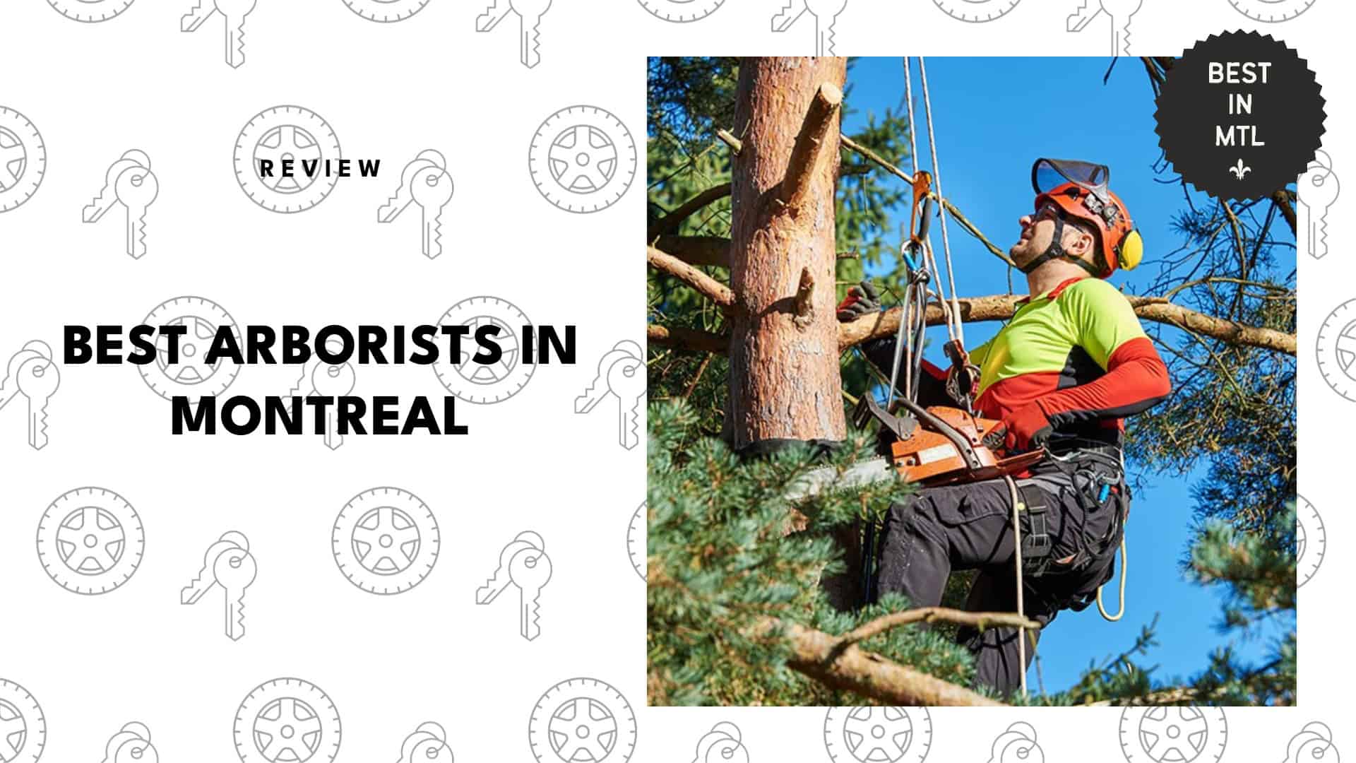 best-arborists-montreal