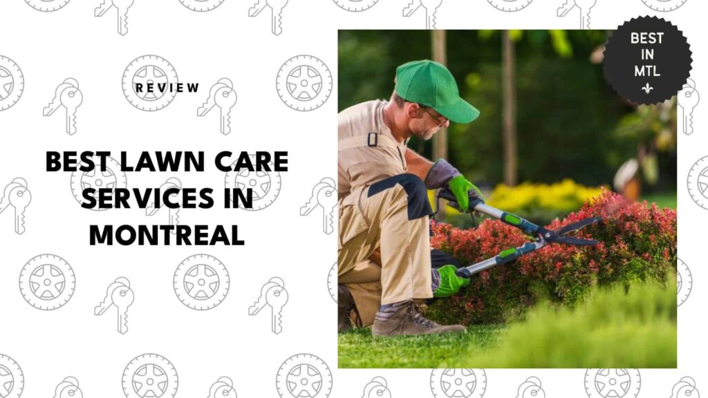 The 5 Best Lawn Care Teams in Montreal for Turf That’s the Talk of Town