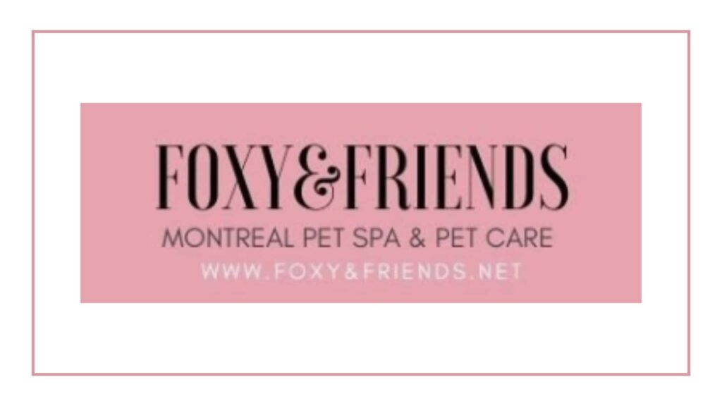 foxy-and-friends