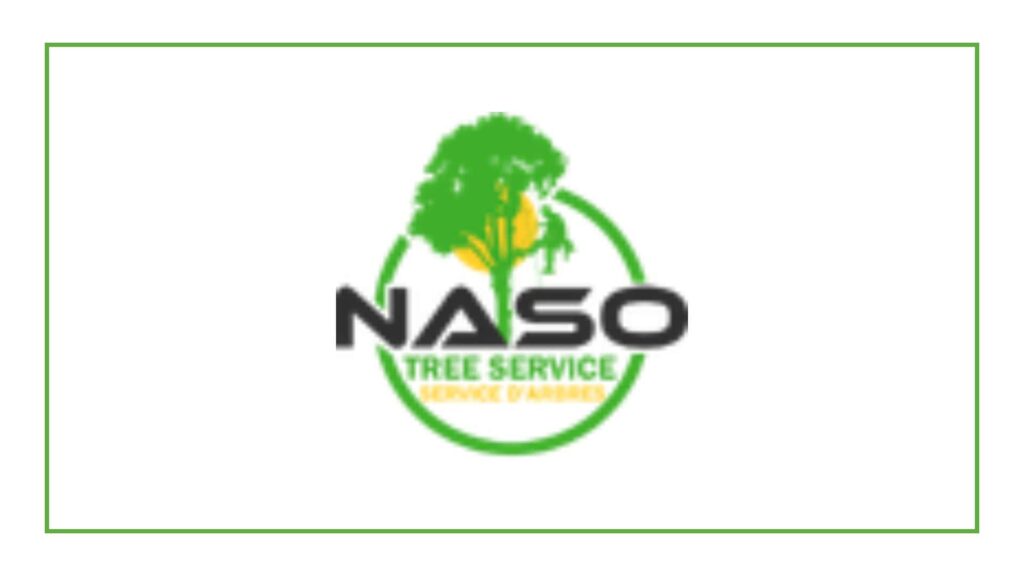 naso-service
