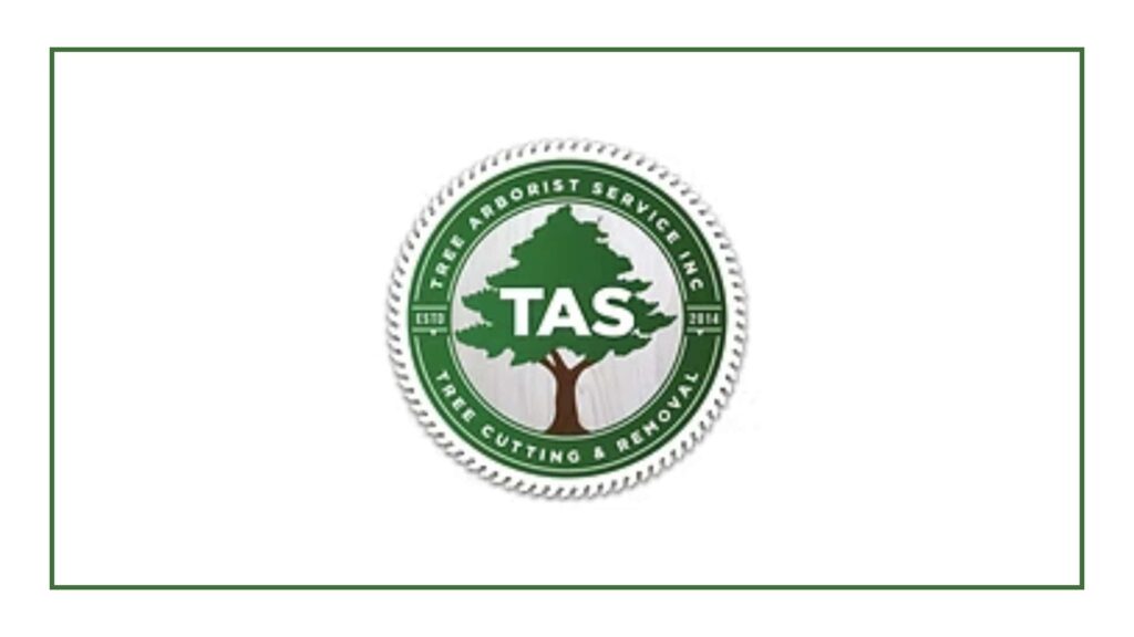 tree-arborist-service