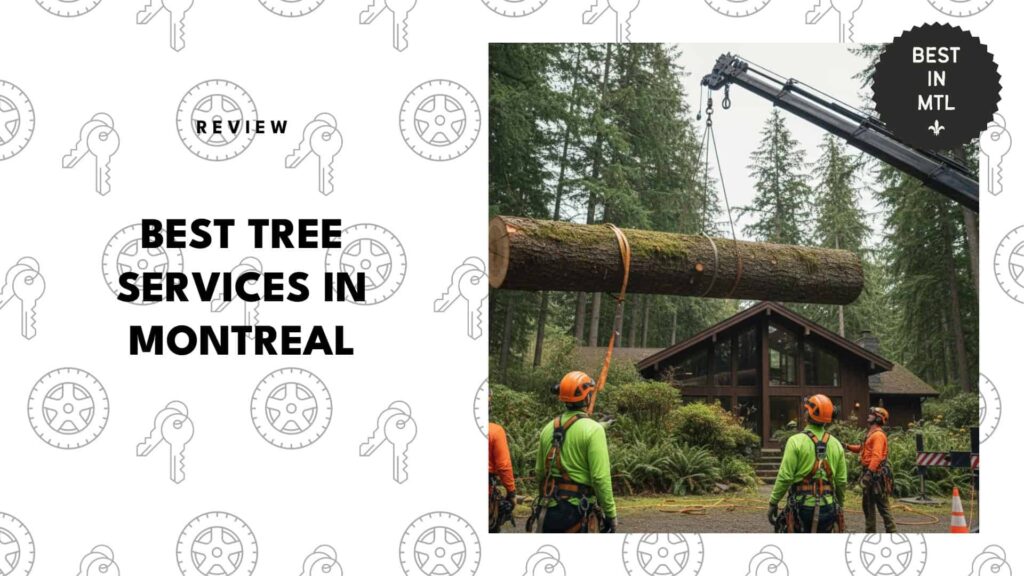 Tame your yard with the 5 best tree services in Montreal