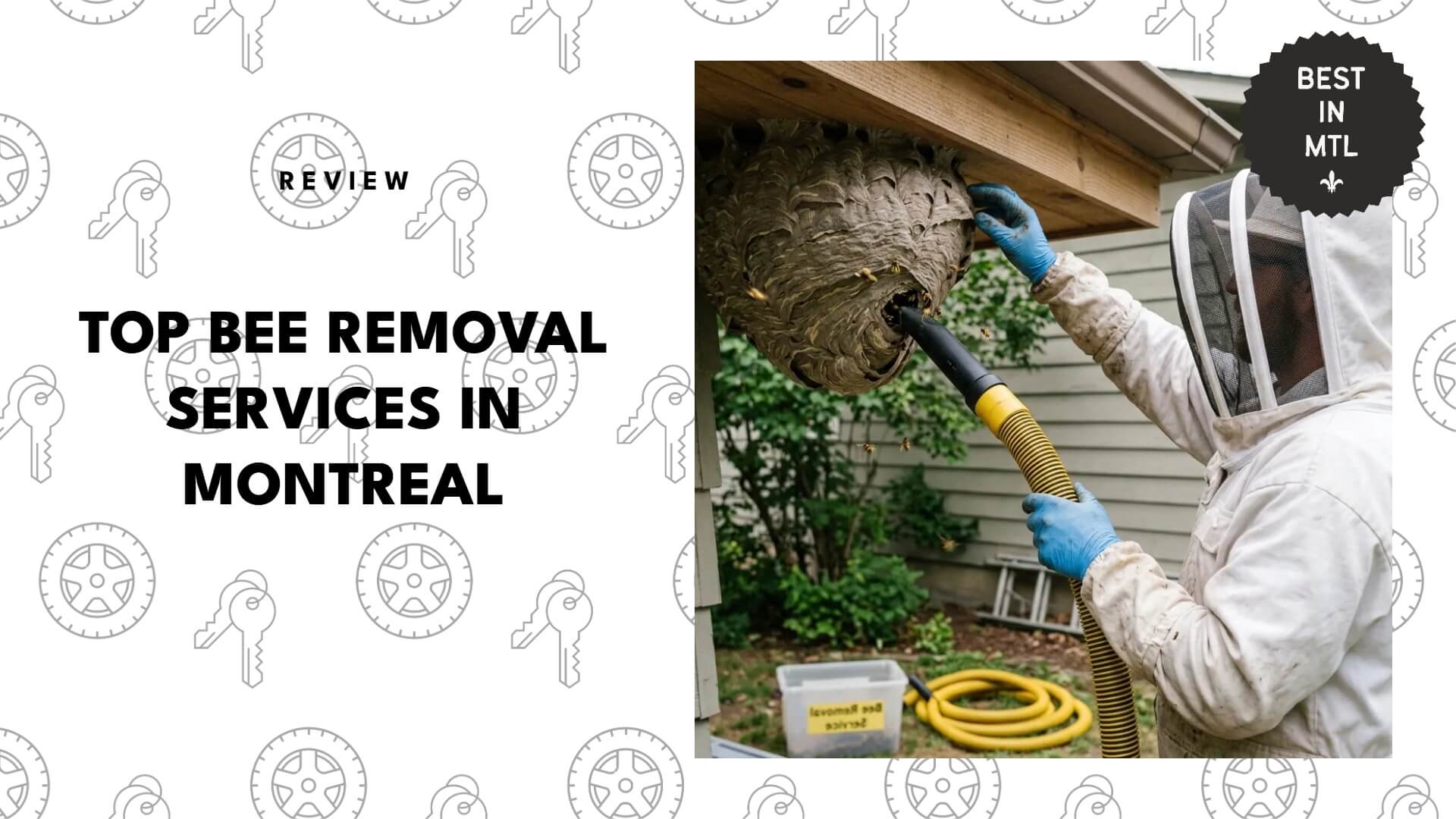 bee-removal-services-in-montreal