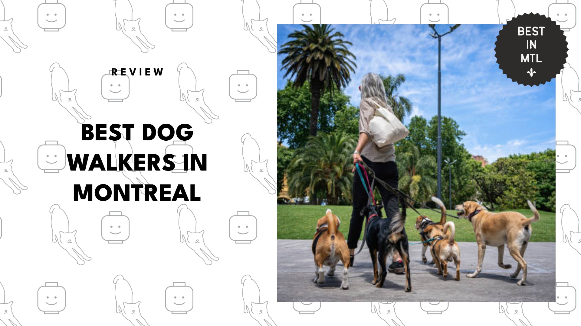 best-dog-walkers-montreal-banner